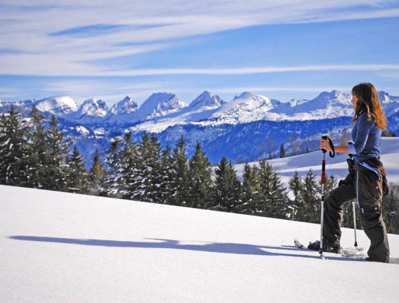665FSchneeschuhlaufen-mit-Blick-auf-die-Churfirsten_70b3898d2152633b49e2d42114bbd27d Bergpension & Gesundheitszentrum Sonnmatt: Sehnsucht nach heilsamer Erholung?