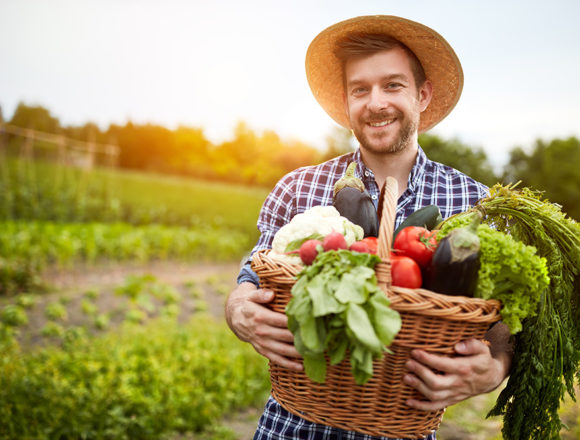 Ackerbau Ernährung und Vegetarismus aus biblischer Sicht: Vom Paradies zum Ackerbau