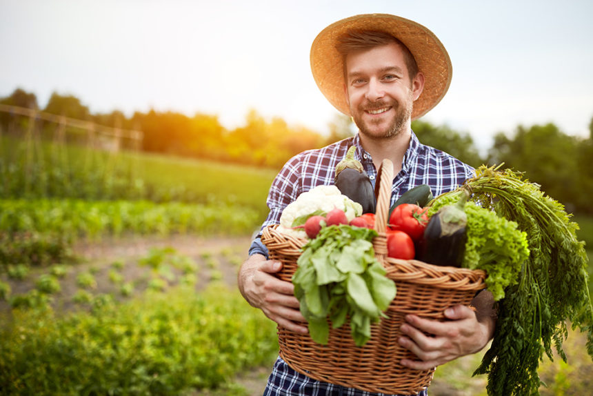Ernährung und Vegetarismus aus biblischer Sicht: Vom Paradies zum Ackerbau