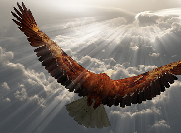 adler_f25adba81ddae419e26339c821f42635 Herz-OP und danach: Gebraucht von Gott