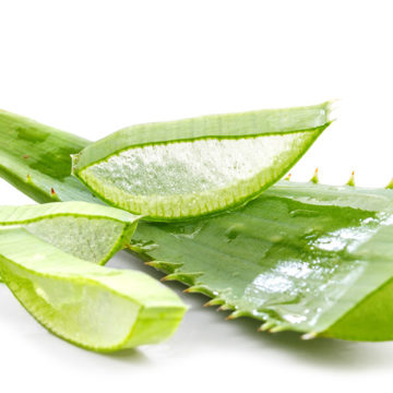 Aloe vera: un remediu miraculos din natură