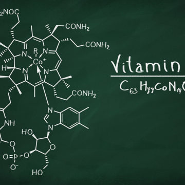 Leistungsfähig und effizient: Was Vitamin B12 mit unserem Energielevel zu tun hat