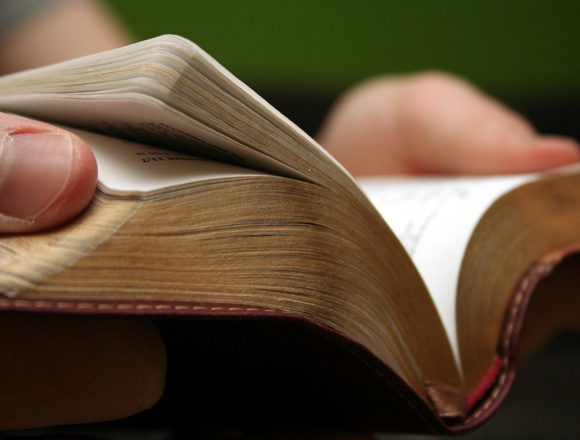 bibel Die Schlachter-Bibel Version 2000: Gibt es eine besonders vertrauenswürdige Bibelübersetzung?