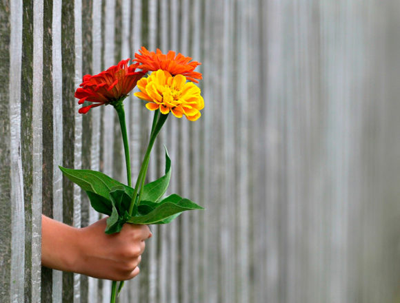 hand-geben Gesundheit für Körper und Seele (Das Lebensgesetz – Teil 5): Geben ohne Helfersyndrom