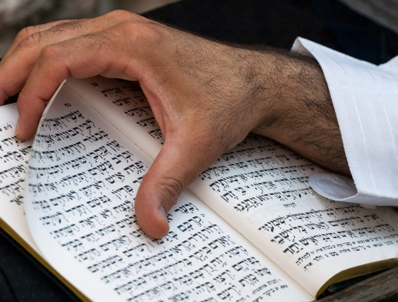 hebrew_book Zwei Rabbis im Gespräch übers Bibelstudium: Jüdische Hingabe
