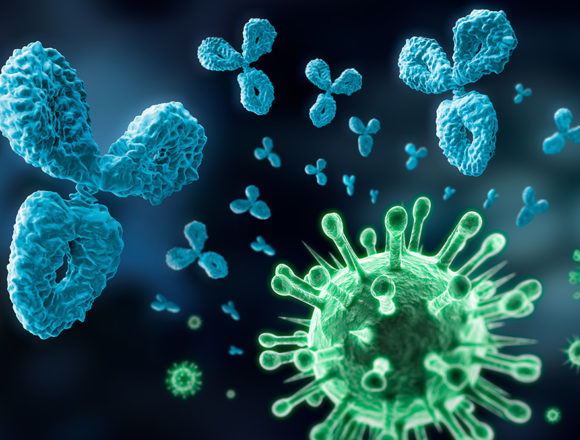 immunsystem Natürliche Heilmittel: Neue Kraft für das Immunsystem