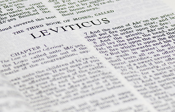 leviticus_ Leviticus, ein Buch für heute: Besondere Richtlinien für Gotteskinder