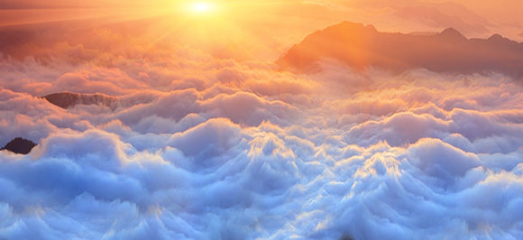 nebel_sonne Schwierigkeiten gottbewusst ins Auge schauen (2/2): Du bist nicht allein
