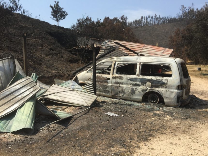 Wie Gotteskinder das Feuer überlebten: Geschichten und Bilder vom Waldbrand in Portugal