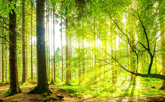 outdoor Leben im Freien: Outdoor Living