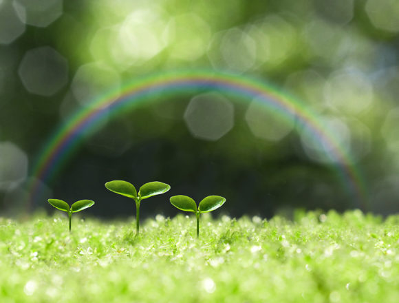 pflanze-regenbogen Heilung von innen nach außen: Die einzig wirksame Methode