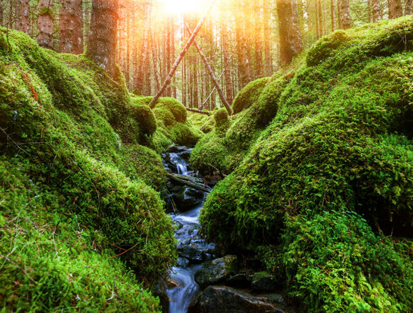 quelle_wasser_sonne Gedanken zu Jesaja 58: Licht und Heilung für Verzweifelte