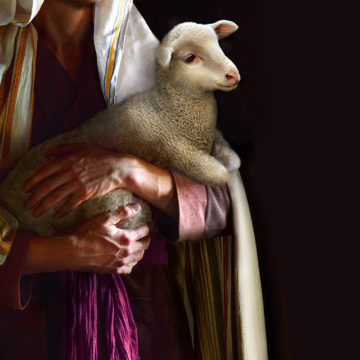 Pilda oii pierdute: motto pentru fiecare gospodărie