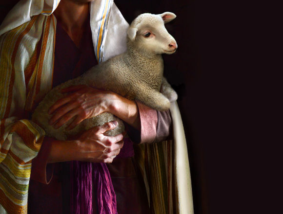 The parable of the lost sheep: motto for every household