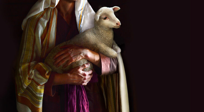 Das Gleichnis vom verlorenen Schaf: Motto für jeden Haushalt