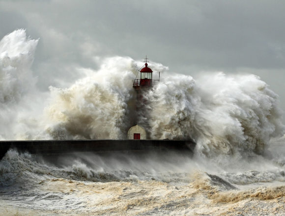 sturm-leuchtturm Sturmfest: Persönlich eingewurzelt im Wort