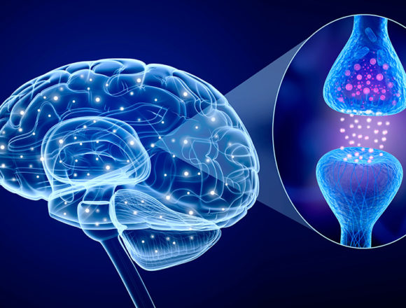 synapse Heilung für Geist und Seele (Teil 5): Gewohnheiten aus neurophysiologischer Sicht