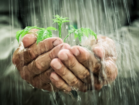 wasser_haende Was wir tun können, damit unsere Kinder ein neues Herz bekommen: Lebenswasser für junge Menschen