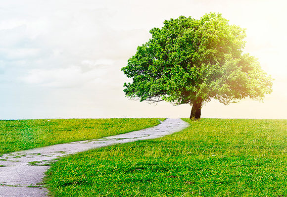 weg_baum_himmel_c764a6e27b02f5e7a183d7bd8f1fbaa1 Es gibt nur einen Weg zum ewigen Leben: Ein heiliges Volk