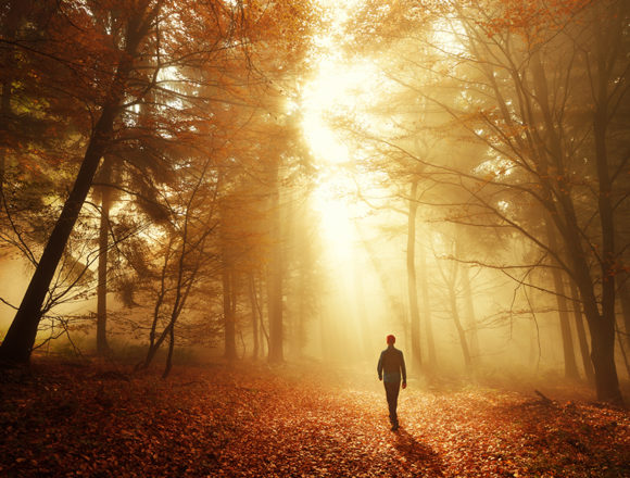 weg_licht_0198adcf4066f67f755cfbe9c52c52e3 Bibelverse und inspirierte Aussagen: Der Weg zum Leben