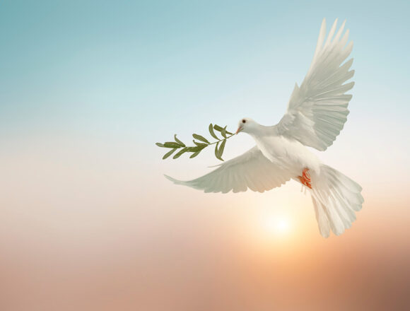 Biblinė Artimųjų Rytų konflikto perspektyva: Adventistai už taiką