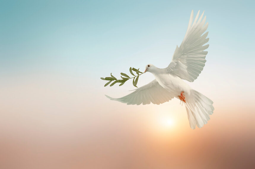 Die biblische Perspektive auf den Nahostkonflikt: Adventisten für den Frieden