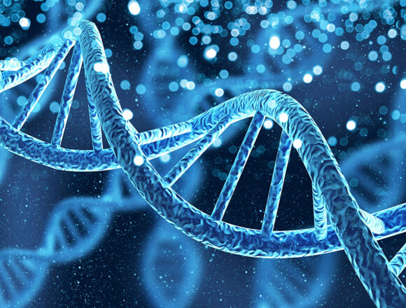 dna Ungeahnte Komplexität der Vererbung: Neue Forschungsergebnisse stellen Makroevolution in Frage
