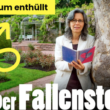 Der Fallensteller - Mysterium enthüllt