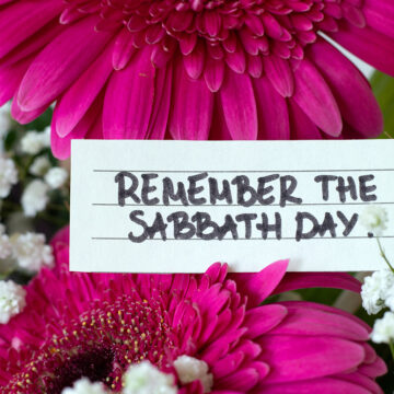 Remember the Sabbath Day, handwritten quote on paper with flowers. Close-up. Christian rest and obedience to God Jesus Christ, biblical concept.