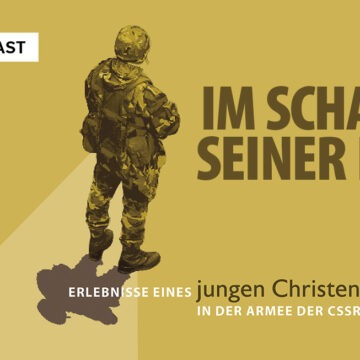 Im-Schatten-Seiner-Hand Im Schatten Seiner Hand - Soldat