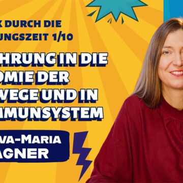 Stark-durch-die-Erkältungszeit-(1)---Einführung-in-die-Anatomie-der-Atemwege-und-in-das-Immunsystem Stark durch die Erkältungszeit – natürlich vorbeugen & begleiten (1/10)