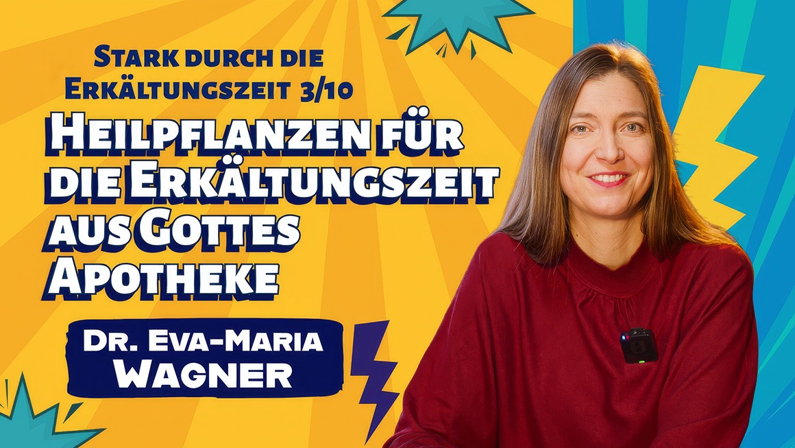 Heilpflanzen für die Erkältungszeit - Eva-Maria Wagner